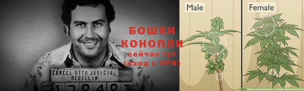 гашик Балабаново