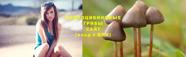 гашик Балабаново