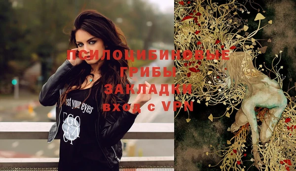 гашик Балабаново